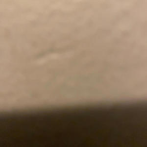 I miss My dawgs (Explicit)