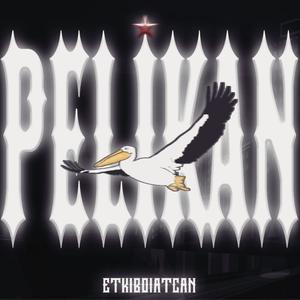 Pelikan (Explicit)