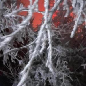 weg sein//vorbei (Explicit)