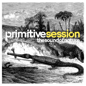 PRIMITIVE SESSION - THE SOUND OF NATURE