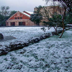 雪中梦已远