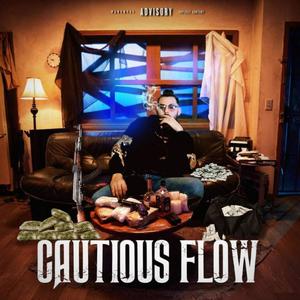 Cautious Flow (Explicit)