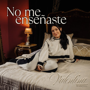 No Me Enseñaste