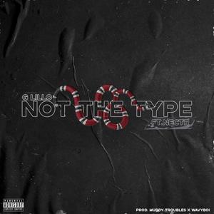 Not The Type (Explicit)