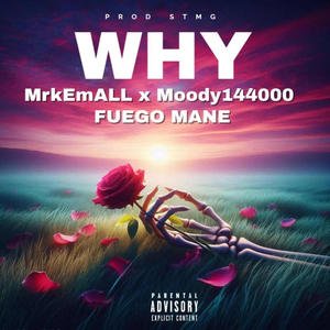 Why (feat. MrkemAll, Fuego Mane, Moody144000) [Explicit]