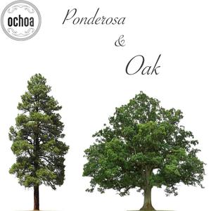 Ponderosa & Oak