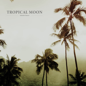 Tropical Moon