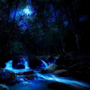 Not So True (Explicit)