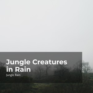 Jungle Creatures in Rain