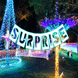 SURPRISE