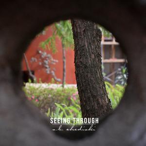 Seeing Through