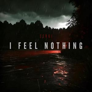 I Feel Nothing (Explicit)