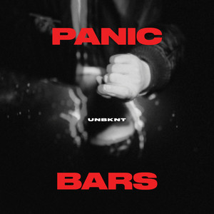 Panic Bars