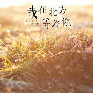 我在北方等着你