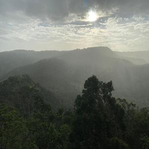 Back Pedal (Explicit)