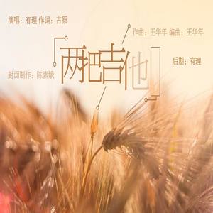 两把吉他