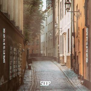 Soop - Bumping into You on the Way Home