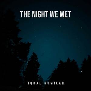 The Night We Met (Acoustic Guitar)
