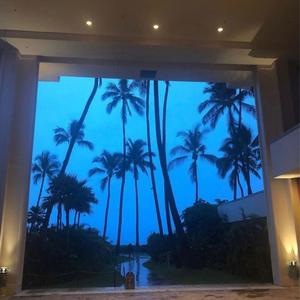 tana (feat. y Gotta) (Explicit)