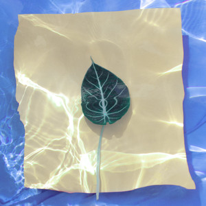 Silence (Sits Quite Still Mix)