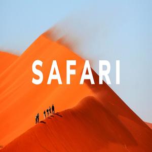 Safari