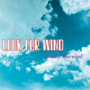 Look For Wind