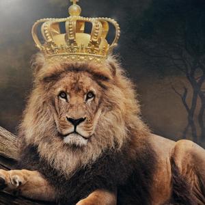 The Throne (Explicit)