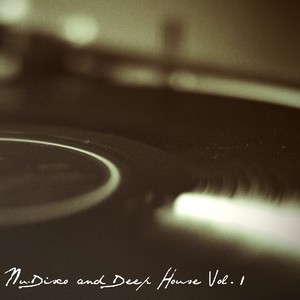 Nu-Disco and Deep House, Vol.1