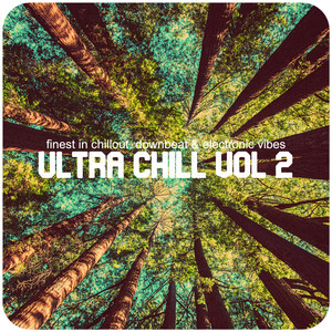 Ultra Chill, Vol. 2