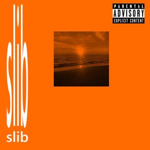 SLIB (SPED UP) (Explicit)