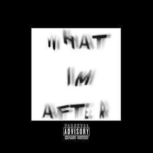 WHAT IM AFTER (Interlude) [Explicit]