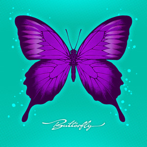 Butterfly (버터플라이) (蝴蝶)