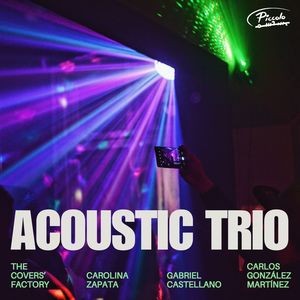 Acoustic Trio