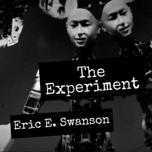 The Experiment (Explicit)