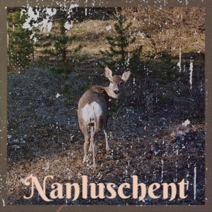 Nanluschent