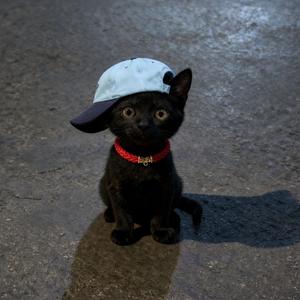 L.O.V.E (feat. grayly)-$AINTVIBEZ&grayly