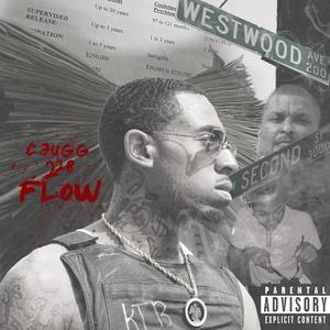 228 Flow (Explicit)