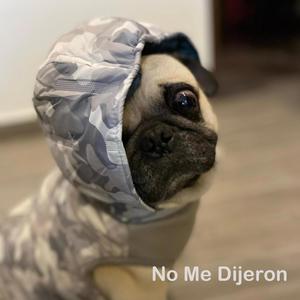 No Me Dijeron