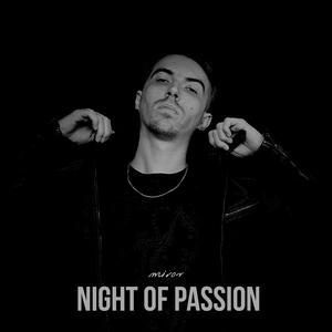 Night of passion