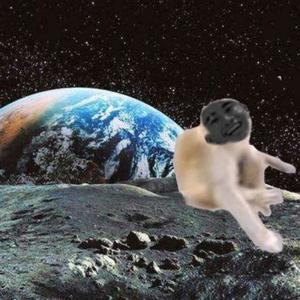 Space Monkey
