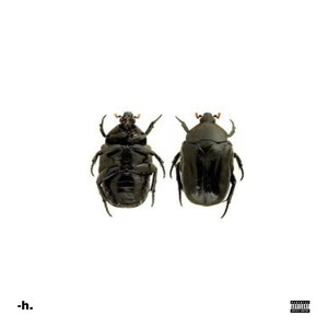 Beetle (Explicit)