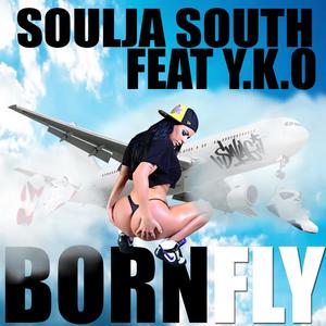 Bornfly(feat. YKO)