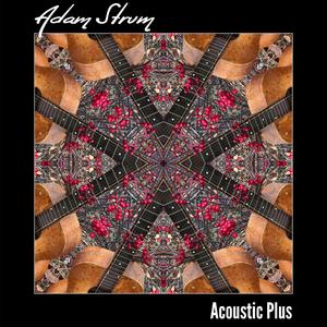 Acoustic Plus