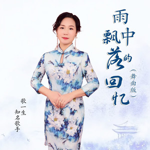 雨中飘落的回忆 (舞曲版)封面