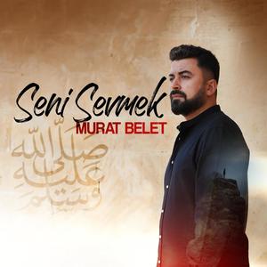Seni Sevmek