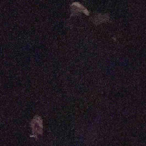 With Me / Ease (Explicit)