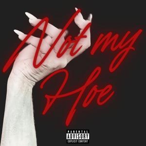Not My Hoe (Explicit)