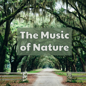 The Music of Nature: Amazing Powerful Nature Sounds for Inner Peace