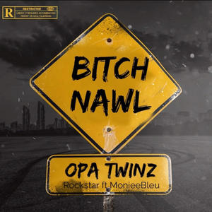 ***** Nawl (feat. MonieeBleu) [Explicit]