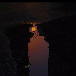 至此流年各天涯（四下无人的夜突然想起我）